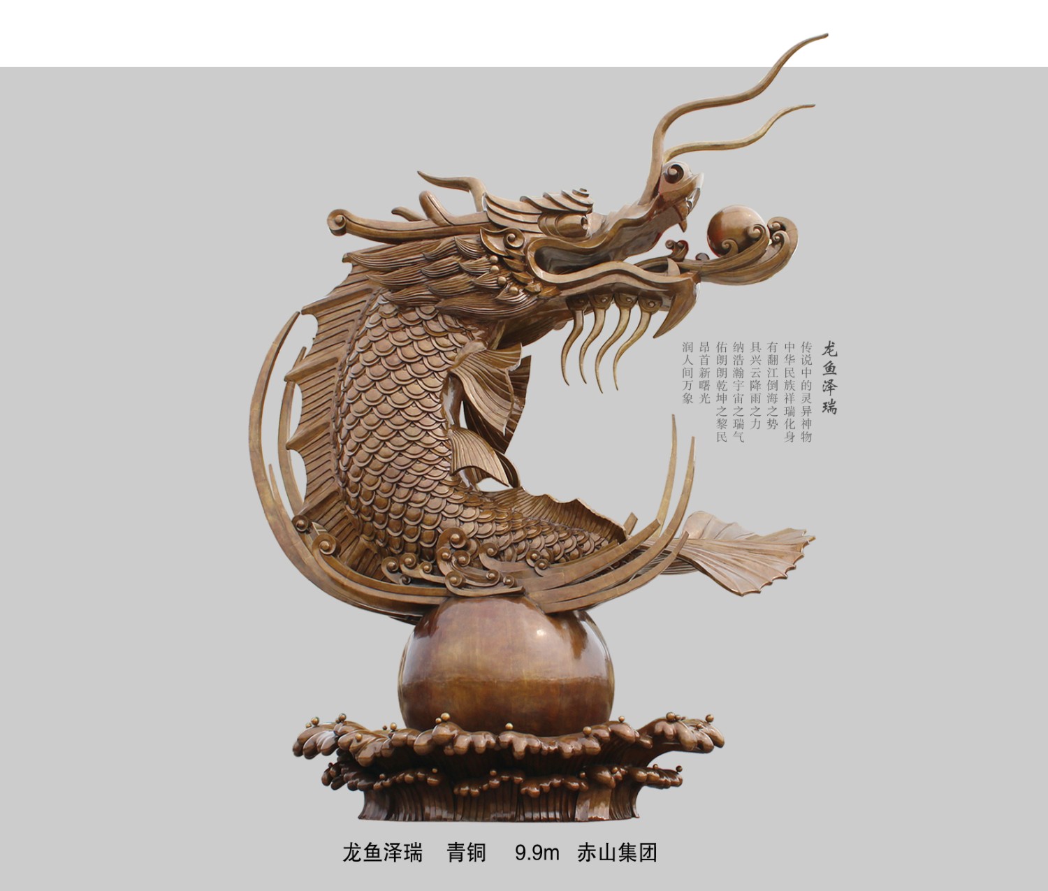 龙鱼泽瑞